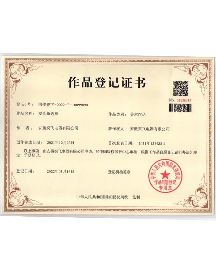 【作品登记证】安全新选择